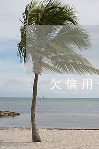 欠信用卡临时额度逾期一个月了 欠信用卡临时额度逾期一个月了