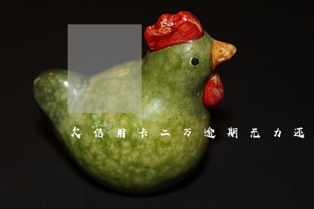 欠信用卡二万逾期无力还上怎么办