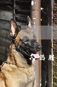 欠信用卡二千块钱逾期一年
