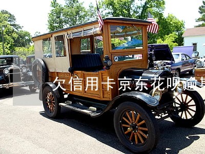欠信用卡京东花呗逾期了半年了 欠信用卡京东花呗逾期了半年了