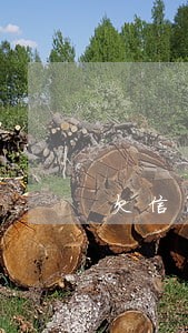 欠信用卡几十万逾期 欠信用卡几十万逾期