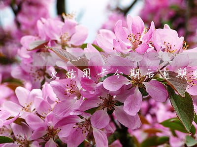 欠信用卡分期后逾期会坐牢吗 欠信用卡分期后逾期会坐牢吗
