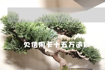 欠信用卡十五万逾期一年多了上海 欠信用卡十五万逾期一年多了上海