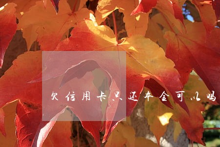 欠信用卡只还本金可以吗 欠信用卡只还本金可以吗