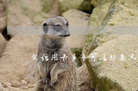 欠信用卡多年可以协商只还本金吗 欠信用卡多年可以协商只还本金吗