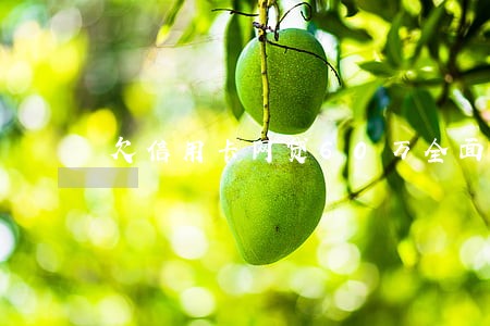 欠信用卡网贷60万全面逾期 欠信用卡网贷60万全面逾期