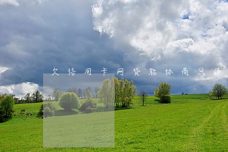 欠信用卡网贷能协商只还本金吗 欠信用卡网贷能协商只还本金吗