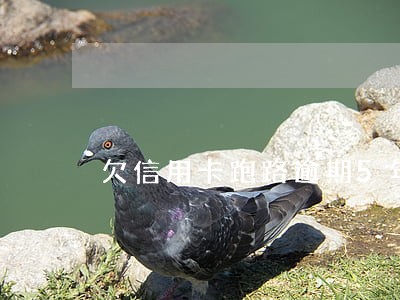 欠信用卡跑路逾期5年了 欠信用卡跑路逾期5年了