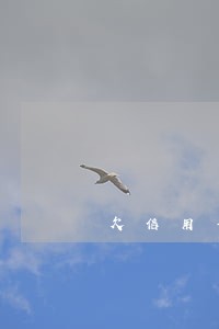 欠信用卡逾期3万会拘留吗 欠信用卡逾期3万会拘留吗
