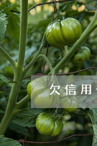 欠信用卡逾期4个月了 欠信用卡逾期4个月了