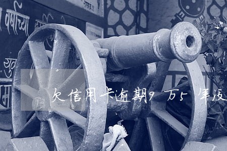 欠信用卡逾期9万5年没还 欠信用卡逾期9万5年没还