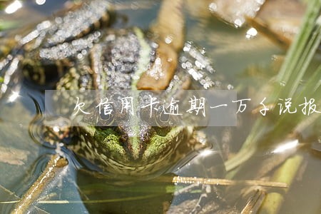 欠信用卡逾期一万千说报案了 欠信用卡逾期一万千说报案了