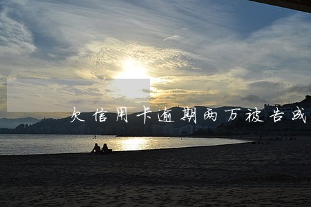 欠信用卡逾期两万被告成老赖 欠信用卡逾期两万被告成老赖