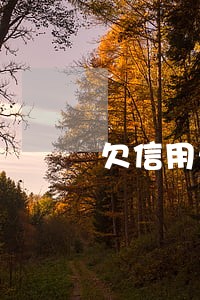 欠信用卡逾期两年怎么办 欠信用卡逾期两年怎么办