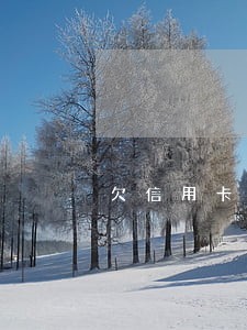 欠信用卡逾期了有什么后果 欠信用卡逾期了有什么后果