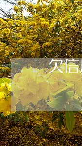 欠信用卡逾期会不会爆通讯录