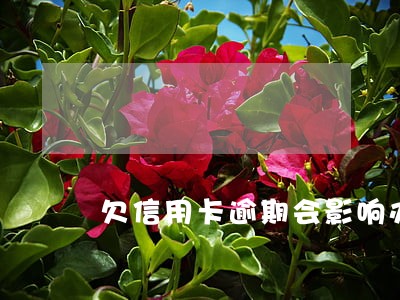 欠信用卡逾期会影响办签证吗 欠信用卡逾期会影响办签证吗