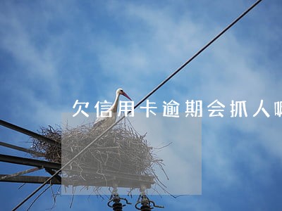 欠信用卡逾期会抓人嘛 欠信用卡逾期会抓人嘛