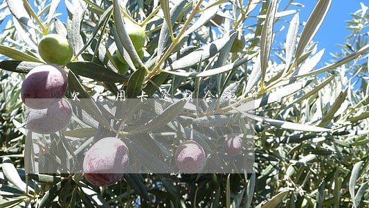 欠信用卡逾期会起诉吗 欠信用卡逾期会起诉吗