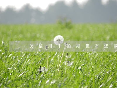 欠信用卡逾期但有还款 欠信用卡逾期但有还款