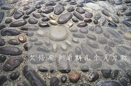欠信用卡逾期几个月才能立案