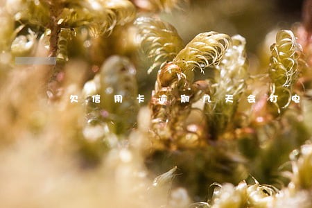 欠信用卡逾期几天会打电话