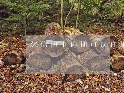 欠信用卡逾期可以住旅店吗 欠信用卡逾期可以住旅店吗