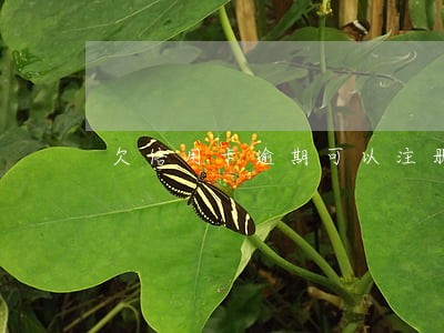 欠信用卡逾期可以注册公司吗 欠信用卡逾期可以注册公司吗