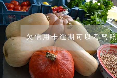 欠信用卡逾期可以考驾照吧 欠信用卡逾期可以考驾照吧