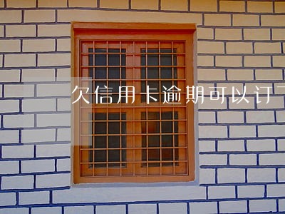 欠信用卡逾期可以订飞机票吗 欠信用卡逾期可以订飞机票吗