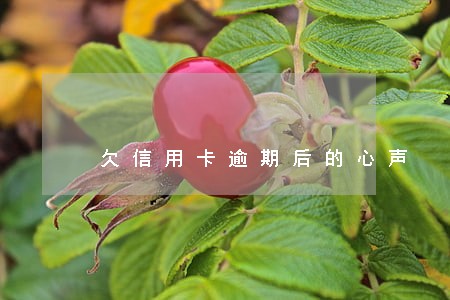 欠信用卡逾期后的心声 欠信用卡逾期后的心声