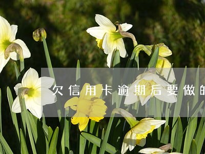 欠信用卡逾期后要做的第一件事 欠信用卡逾期后要做的第一件事