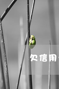 欠信用卡逾期后银行要起诉 欠信用卡逾期后银行要起诉