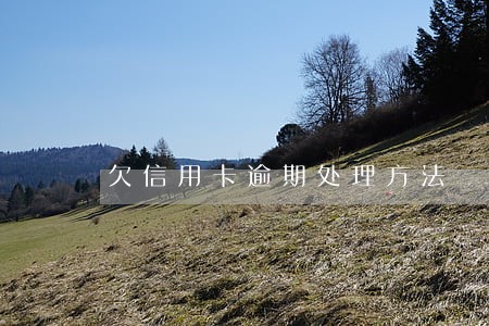 欠信用卡逾期处理方法 欠信用卡逾期处理方法