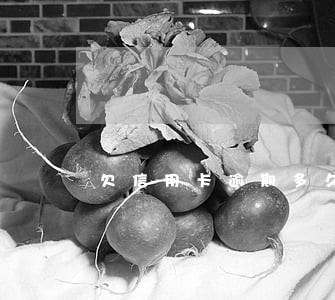 欠信用卡逾期多久逮捕令 欠信用卡逾期多久逮捕令