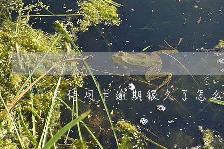 欠信用卡逾期很久了怎么办 欠信用卡逾期很久了怎么办