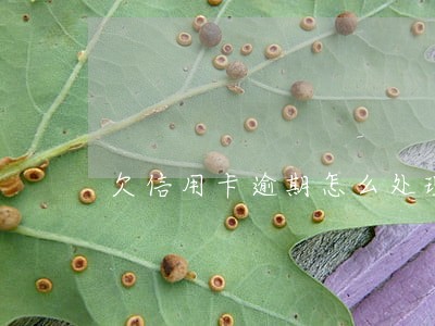 欠信用卡逾期怎么处理最冷静 欠信用卡逾期怎么处理最冷静