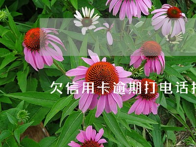 欠信用卡逾期打电话找家人 欠信用卡逾期打电话找家人