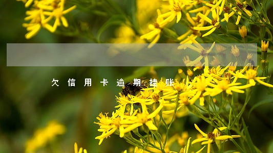 欠信用卡逾期挂账 欠信用卡逾期挂账