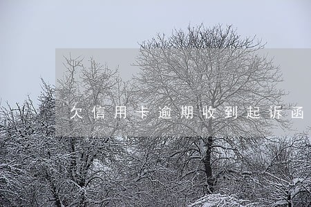 欠信用卡逾期收到起诉函怎么办 欠信用卡逾期收到起诉函怎么办