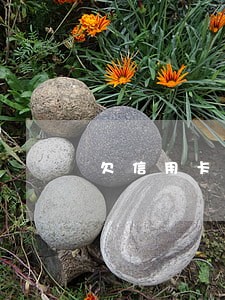 欠信用卡逾期是先立案 欠信用卡逾期是先立案