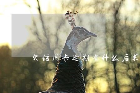 欠信用卡逾期有什么后果 欠信用卡逾期有什么后果