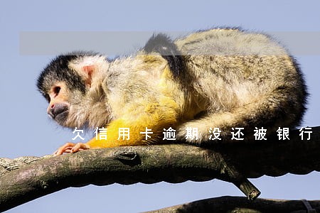欠信用卡逾期没还被银行起诉 欠信用卡逾期没还被银行起诉