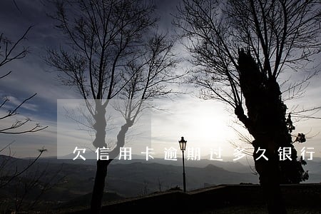 欠信用卡逾期过多久银行会起诉