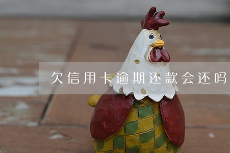 欠信用卡逾期还款会还吗 欠信用卡逾期还款会还吗