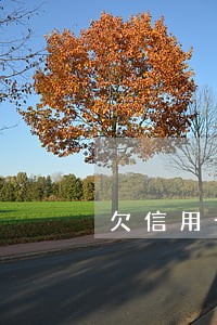 欠信用卡逾期还清了还可以开吗
