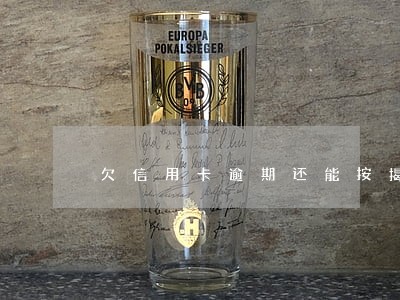 欠信用卡逾期还能按揭买车吗 欠信用卡逾期还能按揭买车吗