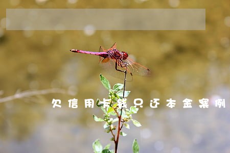 欠信用卡钱只还本金案例 欠信用卡钱只还本金案例