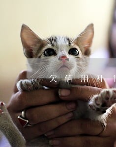 欠信用社1万逾期9年还能分期吗