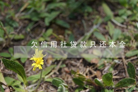 欠信用社贷款只还本金 欠信用社贷款只还本金